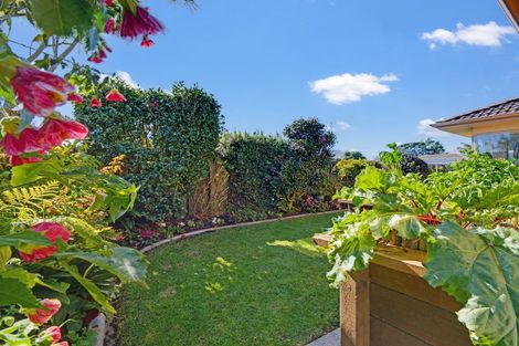 Photo of property in 6a Barry Avenue, Whakatane, 3120