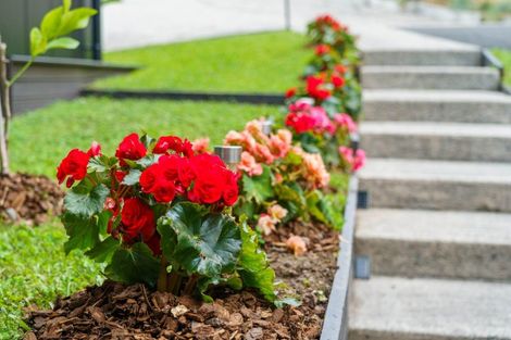 Photo of property in 123 Cheyne Road, Pyes Pa, Tauranga, 3112