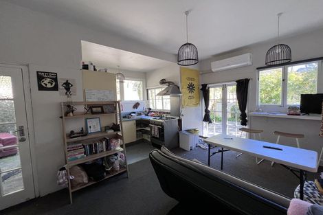 Photo of property in 29 Durham Street, Aro Valley, Wellington, 6021