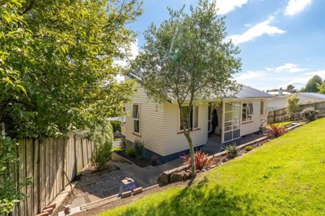 Photo of property in 113 Mulford Street, Concord, Dunedin, 9018