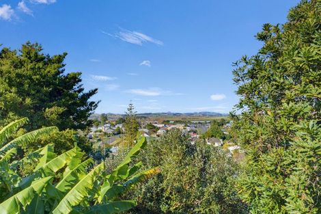 Photo of property in 23 Islington Street, Dargaville, 0310