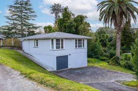 Photo of property in 17 Hutchinson Avenue, New Lynn, Auckland, 0600