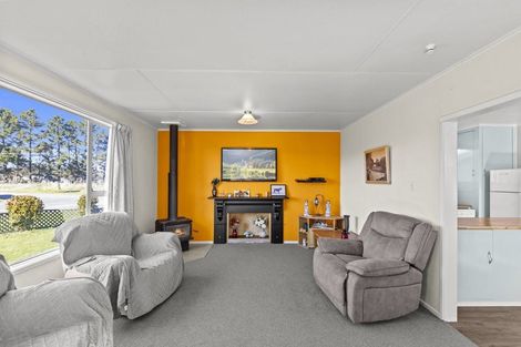 Photo of property in 14 Clifford Street, Seddon, 7210