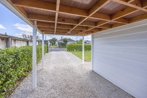 Photo of property in 175 Raeburne Street, Te Awamutu, 3800