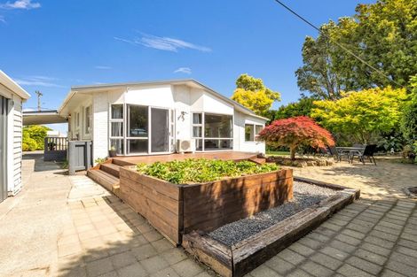 Photo of property in 81 College Road, Edgecumbe, 3120