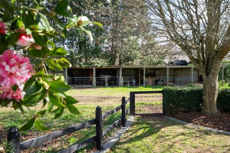 Photo of property in 346 Bruntwood Road, Matangi, Cambridge, 3493