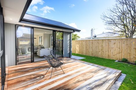 Photo of property in 10c Limbrick Street, Terrace End, Palmerston North, 4410