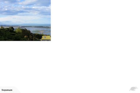 Photo of property in 149a Major Hornbrook Road, Mount Pleasant, Christchurch, 8081