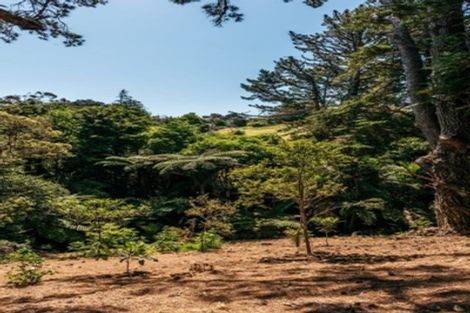 Photo of property in 12 George Street, Surfdale, Waiheke Island, 1081