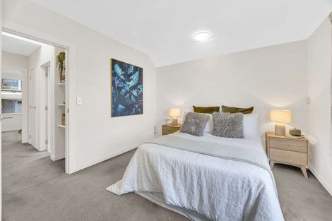 Photo of property in 3uj Papawai Terrace, Mount Cook, Wellington, 6021
