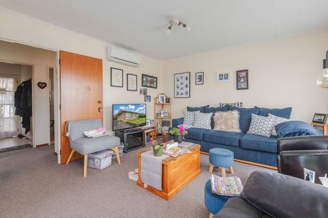 Photo of property in 411 Ruahine Street, Terrace End, Palmerston North, 4410