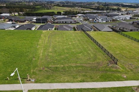 Photo of property in 10 Kuaka Rise, Omokoroa, 3114