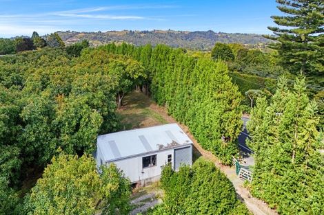 Photo of property in 138 Te Puna Road, Te Puna, Tauranga, 3174