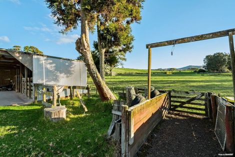 Photo of property in 290 Waitakere Road, Taupaki, 0782