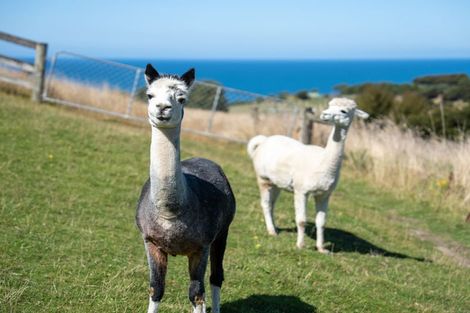 Photo of property in 291 Big Stone Road, Brighton, 9091