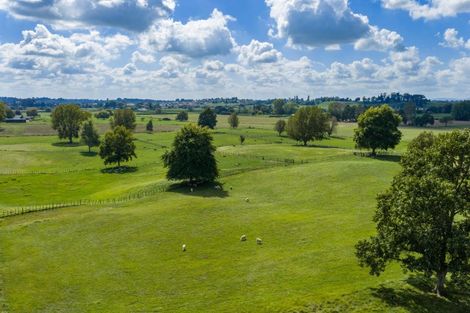 Photo of property in 81 Mcghie Road, Kihikihi, Te Awamutu, 3875