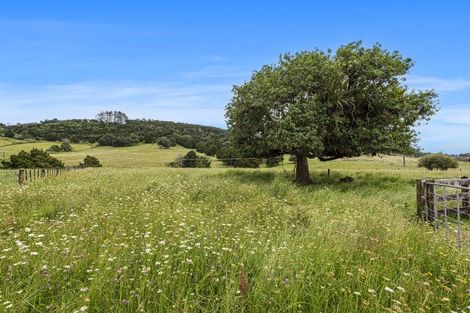 Photo of property in 5685 State Highway 12, Kaikohe, 0472