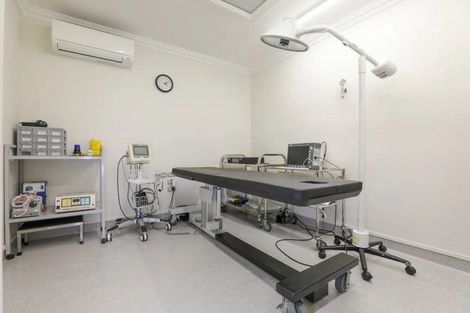 Photo of property in 186 Fraser Street, Tauranga South, Tauranga, 3112