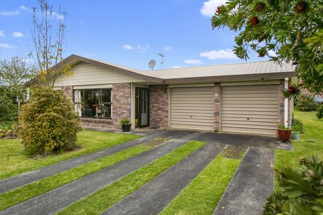 Photo of property in 9 Wrigley Place, Matamata, 3400