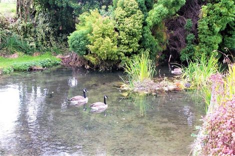 Photo of property in 24 Evans Street, Temuka, 7920