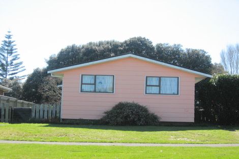 Photo of property in 25 Morgan Crescent, Levin, 5510