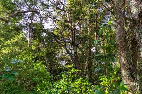 Photo of property in 48 Garbolino Road, Mangawhai, Wellsford, 0975