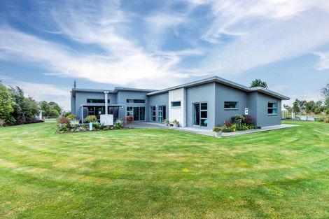 Photo of property in 116 Molloys Road, Waimate, 7980
