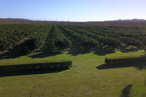 Photo of property in 504b Matawai Road, Waerengaahika, Gisborne, 4071