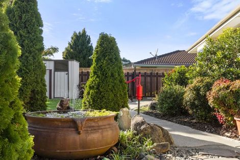 Photo of property in 22 Reilly Avenue, Mount Maunganui, 3116