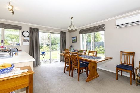 Photo of property in 36 Tancred Street, Geraldine, 7930