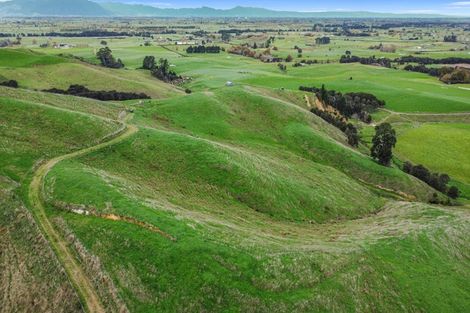Photo of property in 364 Quine Road, Tahuna, Morrinsville, 3373