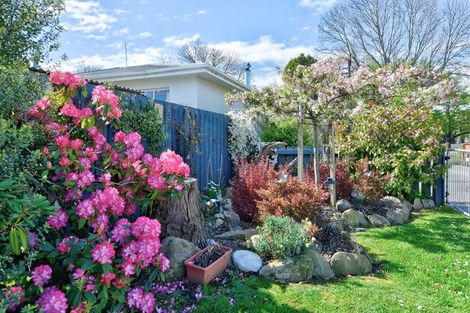 Photo of property in 278 Main Street, Gore, 9710