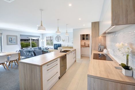 Photo of property in 19 Ben Lomond Drive, Mosgiel, 9024