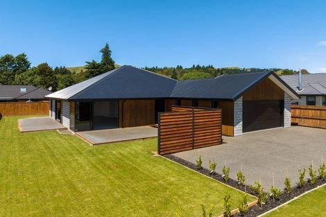 Photo of property in 31 Turnbull Drive, Witherlea, Blenheim, 7201