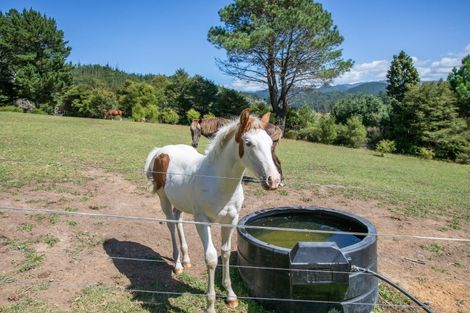 Photo of property in 896a Hikuai Settlement Road, Pauanui, Hikuai, 3579