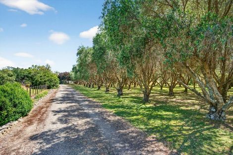 Photo of property in 277 Upper Plain Road, Upper Plain, Masterton, 5888