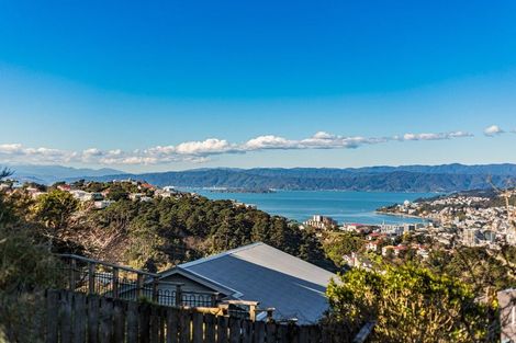 Photo of property in 4 Broomhill Road, Aro Valley, Wellington, 6012