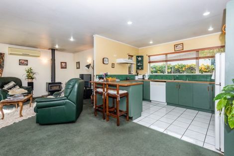 Photo of property in 293a Ormond Road, Mangapapa, Gisborne, 4010