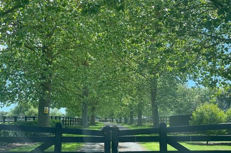 Photo of property in 353 Victoria Road, Pukemoremore, Cambridge, 3493