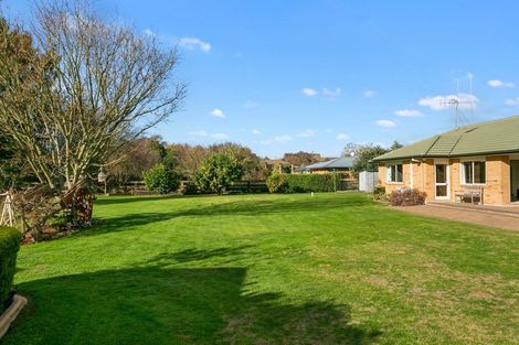 Photo of property in 12 Shadbolt Drive, Leamington, Cambridge, 3432