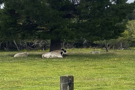 Photo of property in 13 York Street, Ohai, 9635