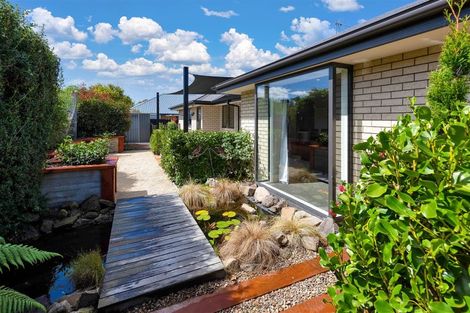 Photo of property in 29a Wellington Street, Ashley, Rangiora, 7477