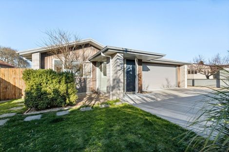 Photo of property in 14b Carisbrooke Street, Katikati, 3129