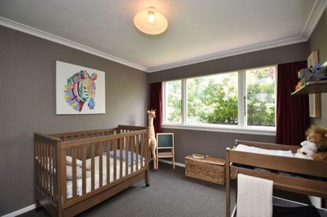 Photo of property in 317 Talbot Street, Hargest, Invercargill, 9810