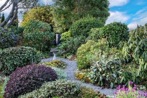 Photo of property in 155 Downs Road, Geraldine Downs, Geraldine, 7991