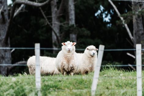 Photo of property in 145a Mokoroa Valley Road, Waitakere, Henderson, 0782