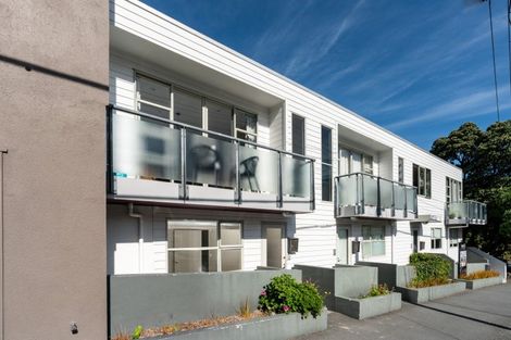 Photo of property in 199 Tasman Street, Mount Cook, Wellington, 6021