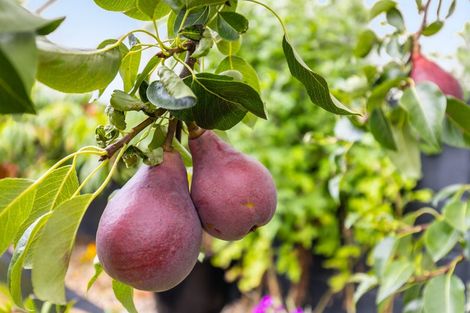 Photo of property in 18 Woolshed Drive, Stoke, Nelson, 7011