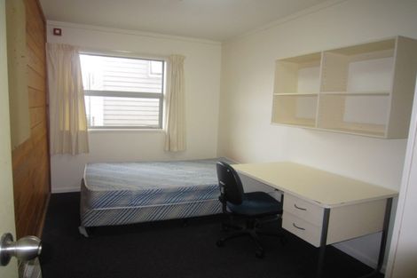 Photo of property in Drummond Street Flats, 21/19 Drummond Street, Mount Cook, Wellington, 6021