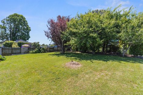 Photo of property in 24 David Street, Morrinsville, 3300